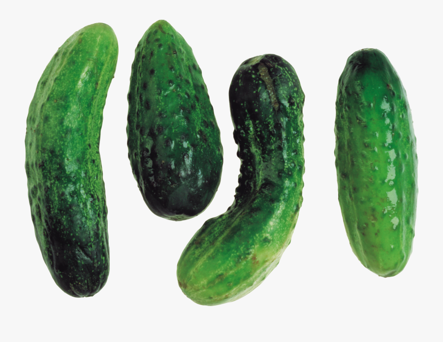 Download This High Resolution Cucumber Transparent - Portable Network Graphics, Transparent Clipart
