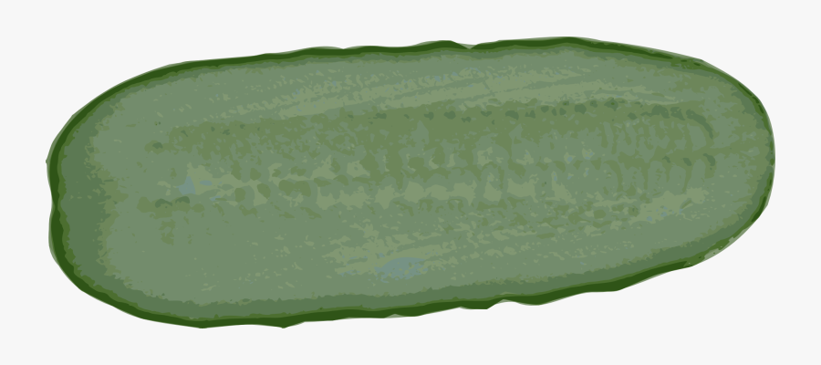 Grass, Transparent Clipart