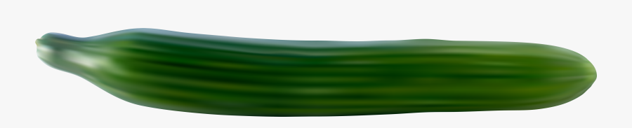 Tarpaulin, Transparent Clipart