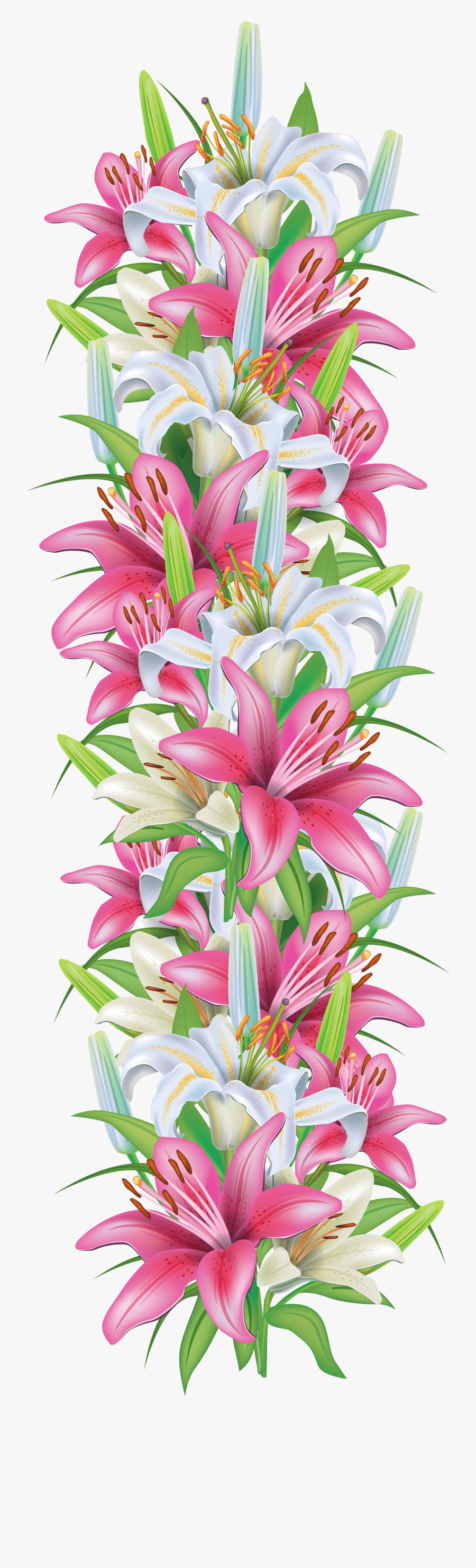 Pink And White Lilies Decoration Border Png Clipart - Floral Decorative Border Png, Transparent Clipart