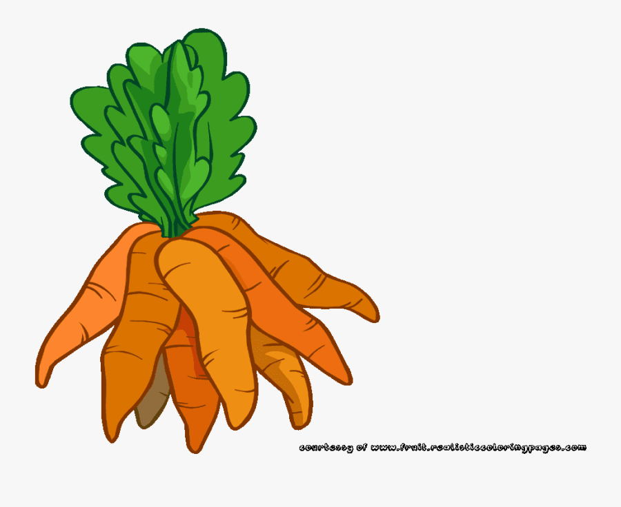 Carrot Pictures - Carrot, Transparent Clipart
