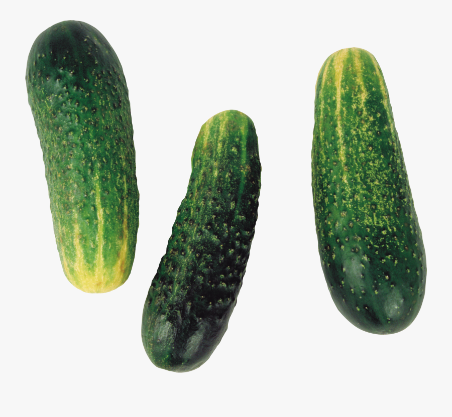 3 Cucumber Png, Transparent Clipart