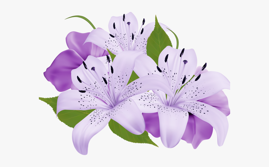 Lily Clipart Sea Flower - Purple Flower Clipart Png, Transparent Clipart