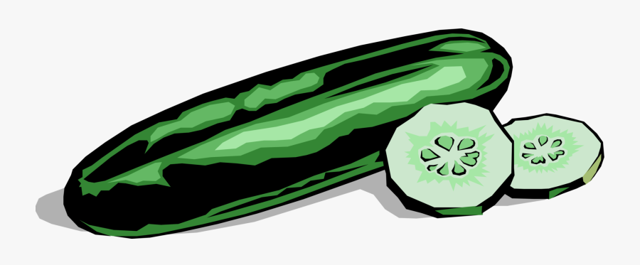 Vector Illustration Of Culinary Edible Vegetable Cucumber - Cucumber Clipart, Transparent Clipart