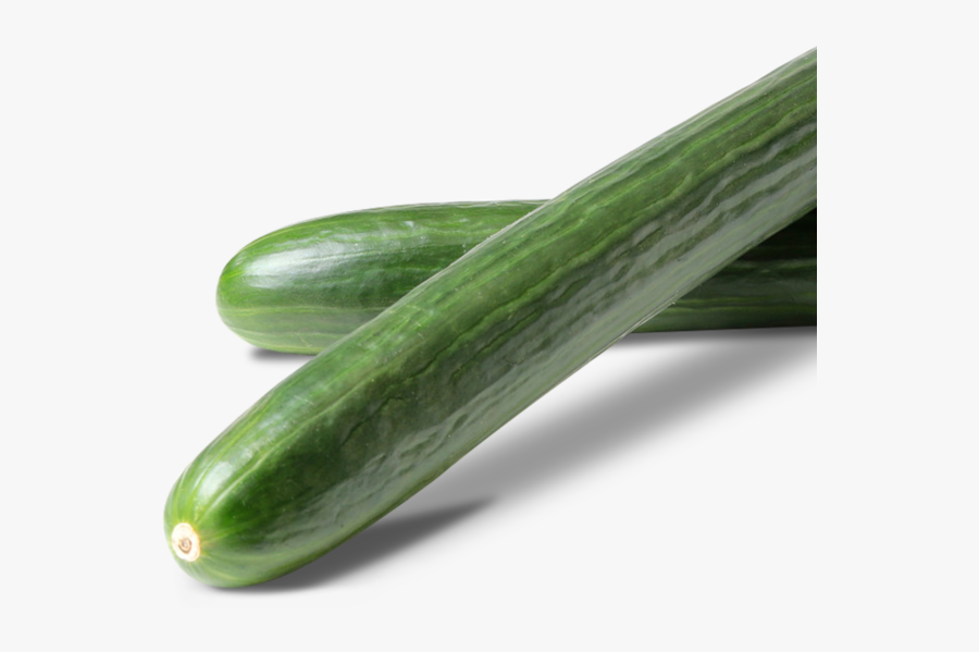 Clip Art Organic Long English Cucumbers - Cucumber, Transparent Clipart