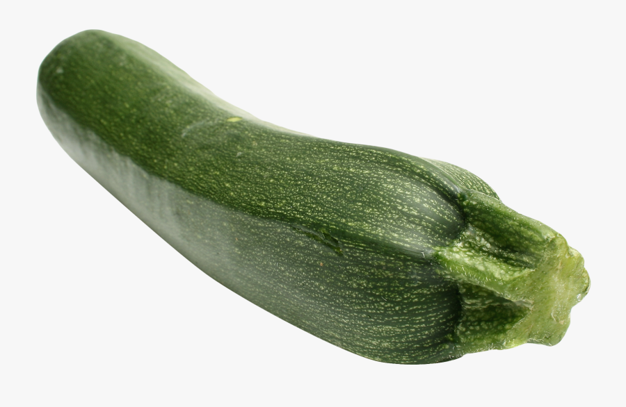 Transparent Cucumber Clipart - Zucchini Png, Transparent Clipart