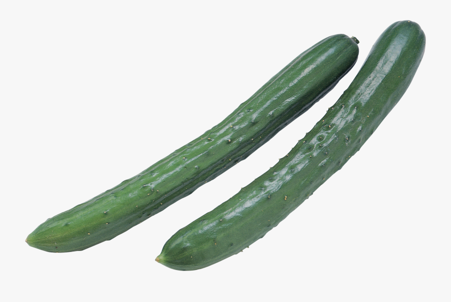 Zucchini Clipart Pipino - Cucumber Png Transparent, Transparent Clipart