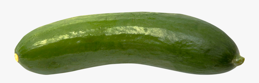 Cucumber Png Transparent Images - Gourd, Transparent Clipart