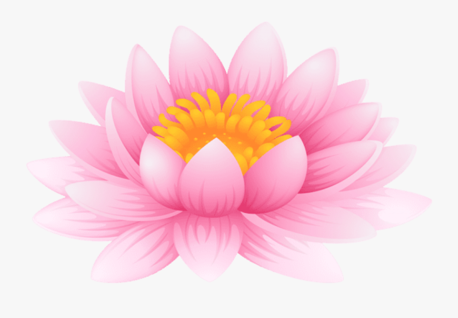 Water Lily Png - Water Lily Clip Art, Transparent Clipart