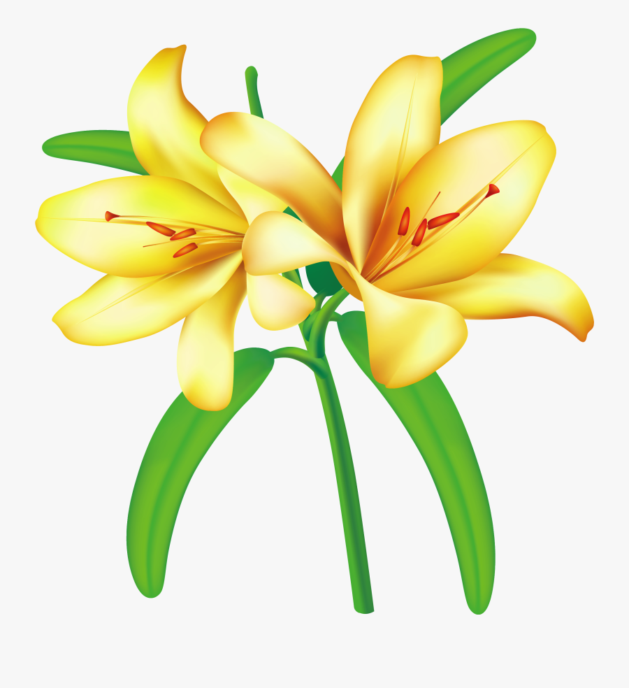 Collection Of Jasmine - Clipart Image Border Flower, Transparent Clipart