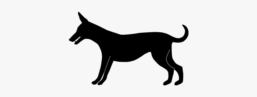 Dog, Transparent Clipart