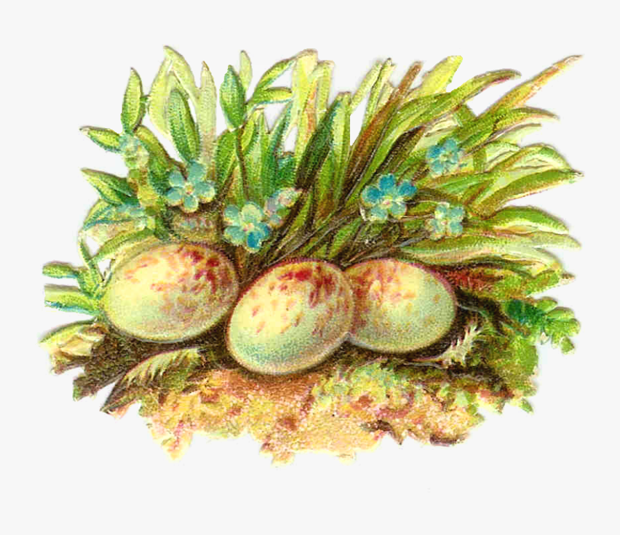 Easter Will Soon Be Here - Easter, Transparent Clipart