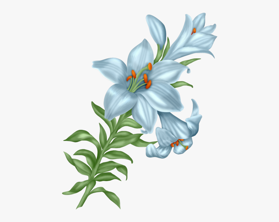 Transparent Mural Png - Purple Lily Flower Cartoon, Transparent Clipart