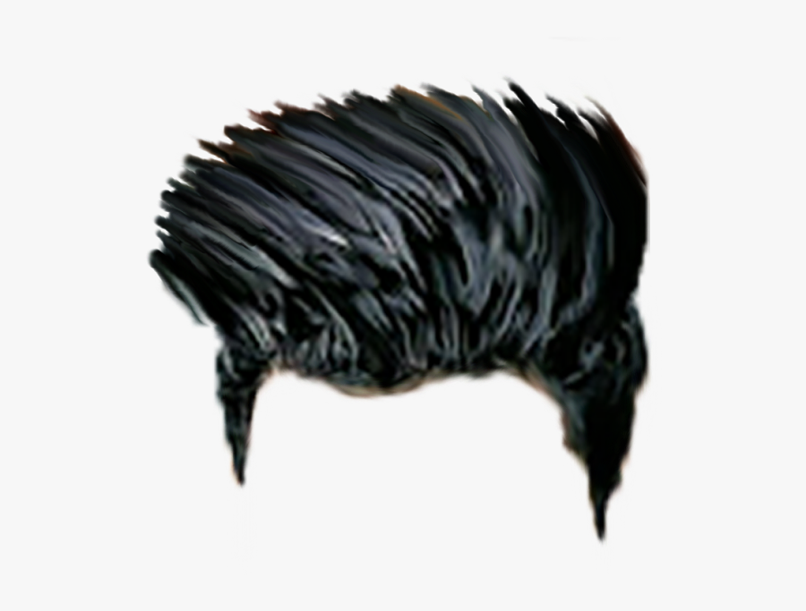 Men Hair Styles Png, Transparent Clipart