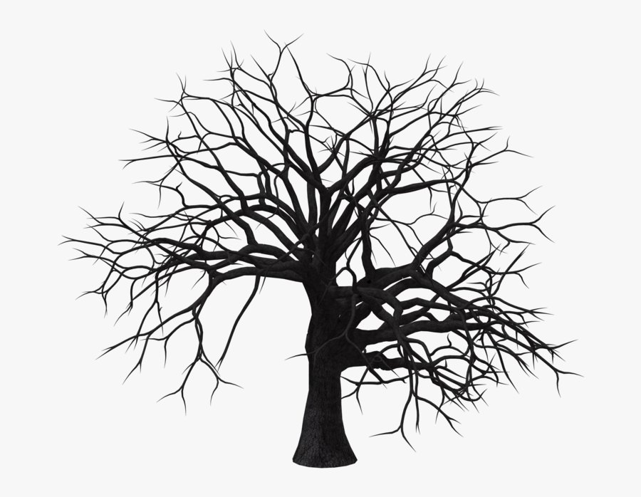 Dry Trees Png - Dry Tree Images Png, Transparent Clipart