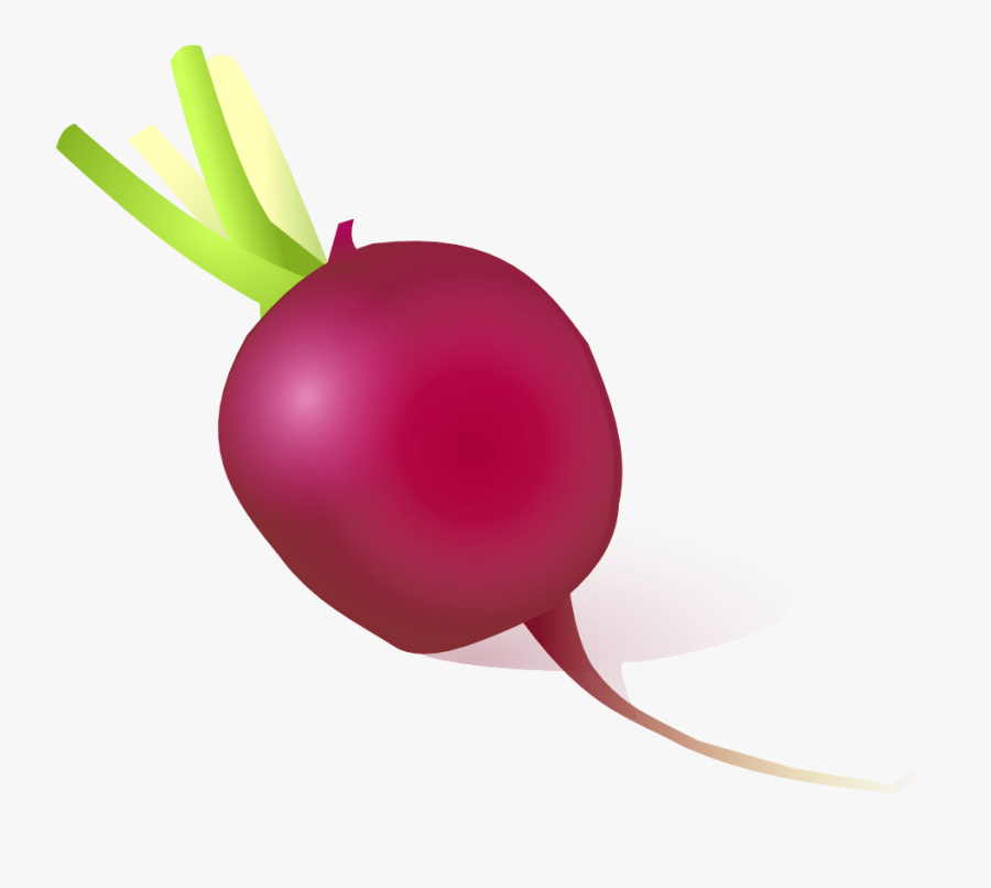 Radish Png Hd - Radishes Cartoon, Transparent Clipart