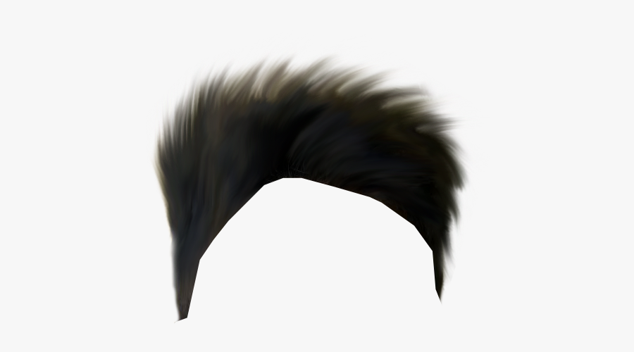 Hair Png Transparent Image - Hair Png Images Boy, Transparent Clipart