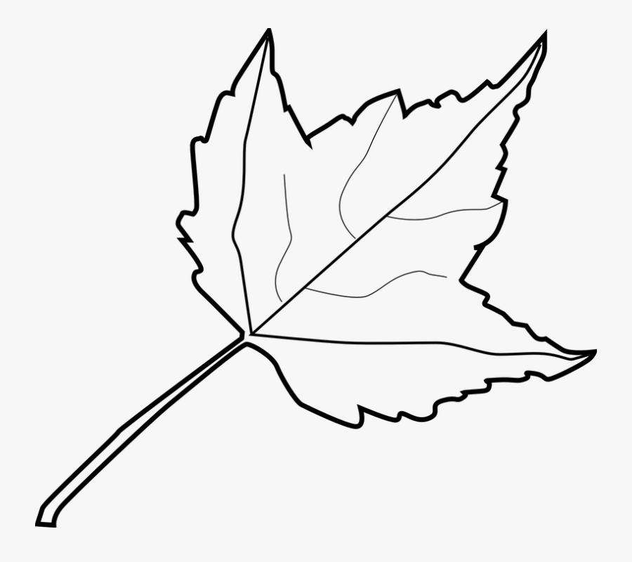 Maple Fall Leaf Plants Nature Autumn Foliage - Leaf Black And White, Transparent Clipart