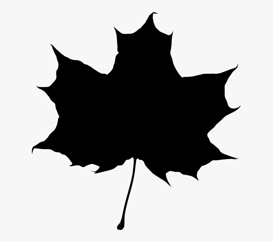 Maple Leaf Silhouette Png, Transparent Clipart