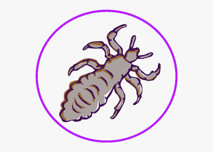 Rainbow Kids Hairstyling Salon, Transparent Clipart