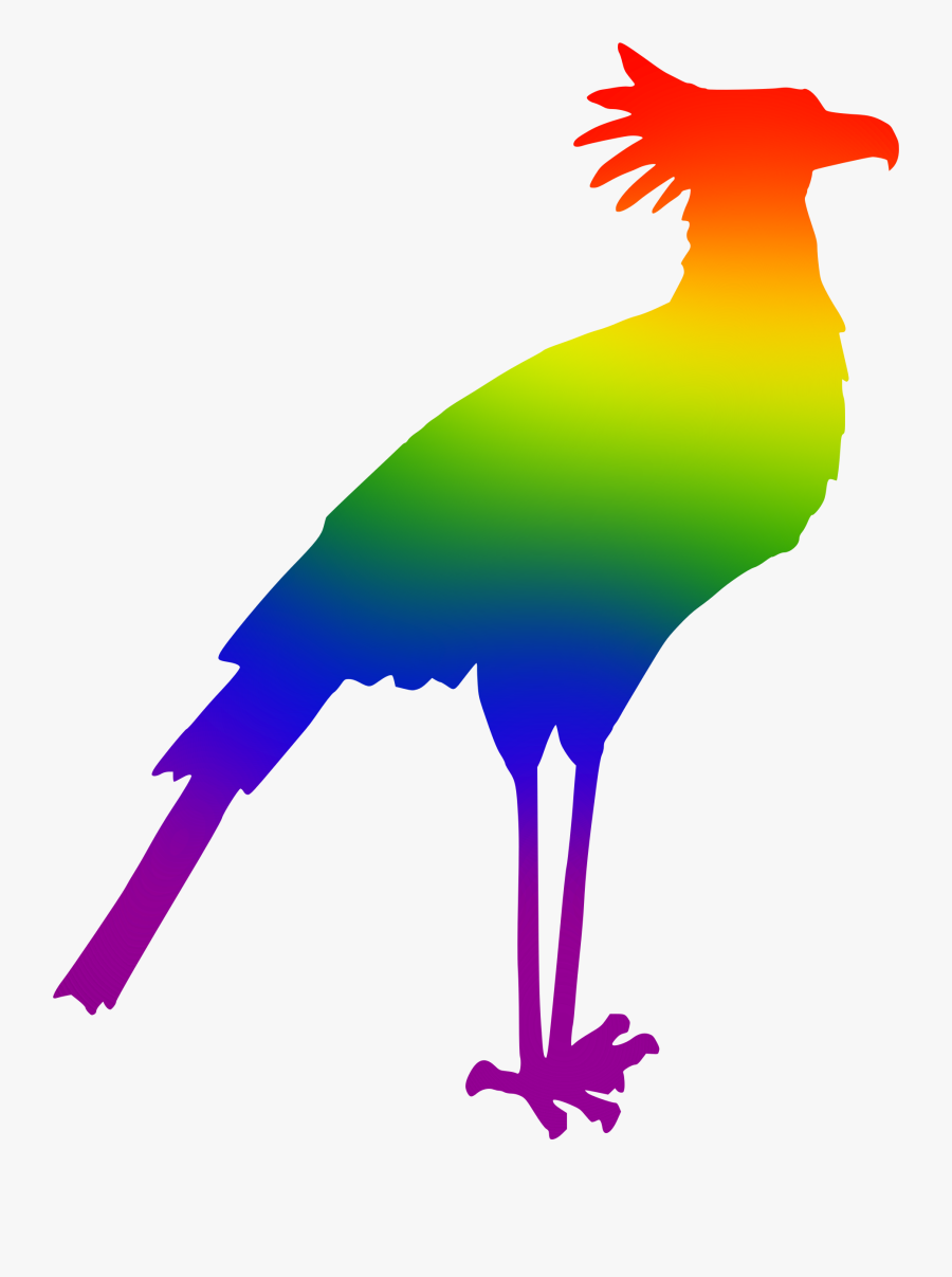 Bird,beak,clip - Colourful Bird Silhouette Clipart, Transparent Clipart