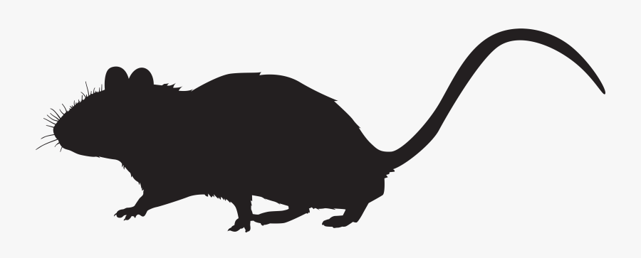 Mice Clipart Computer - Mouse Black And White Clipart, Transparent Clipart