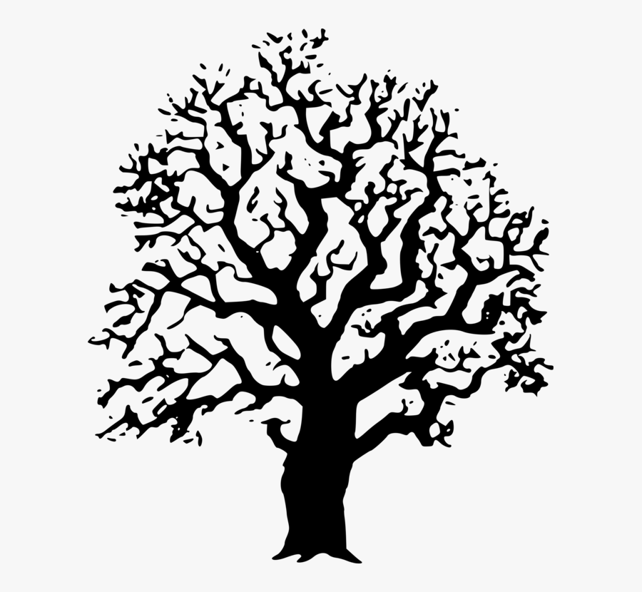 Transparent Fall Tree Clipart Png - Black And White Tree Drawn, Transparent Clipart