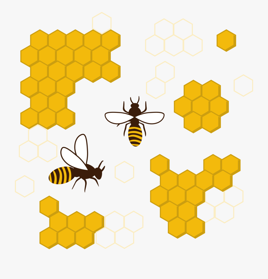 Transparent Bee Outline Png - Free Cartoon Honeycomb Png, Transparent Clipart