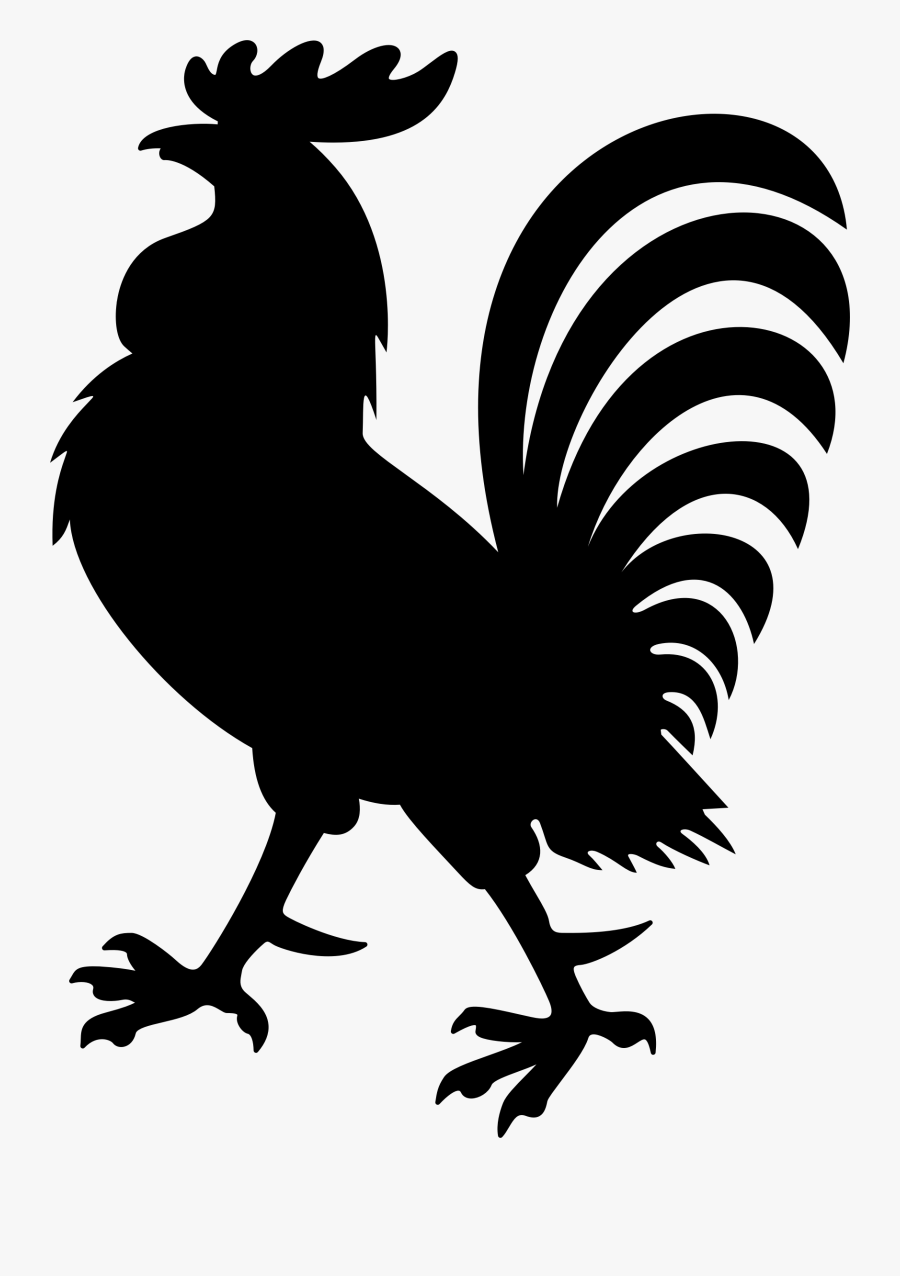 Art,beak,tail,black And White,wing,coloring, Transparent Clipart