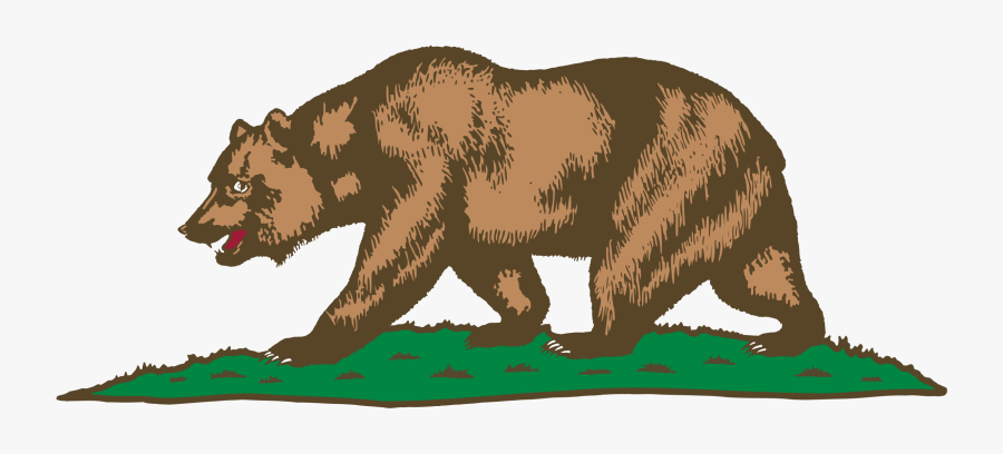 Wildlife,carnivoran,bear - California Bear On Flag, Transparent Clipart