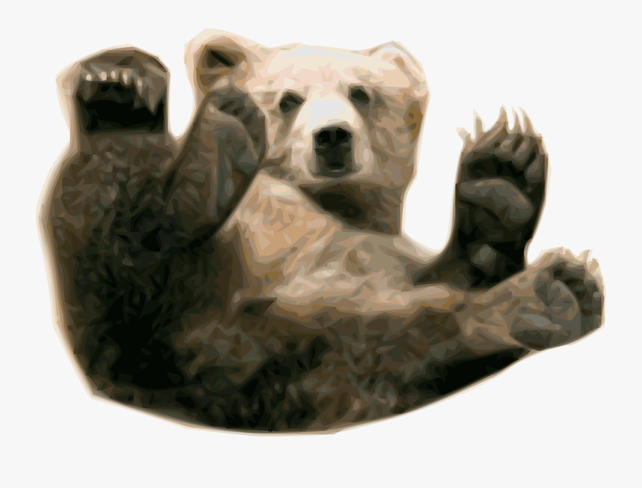 Grizzly Bear 1 - Real Baby Bear Png, Transparent Clipart