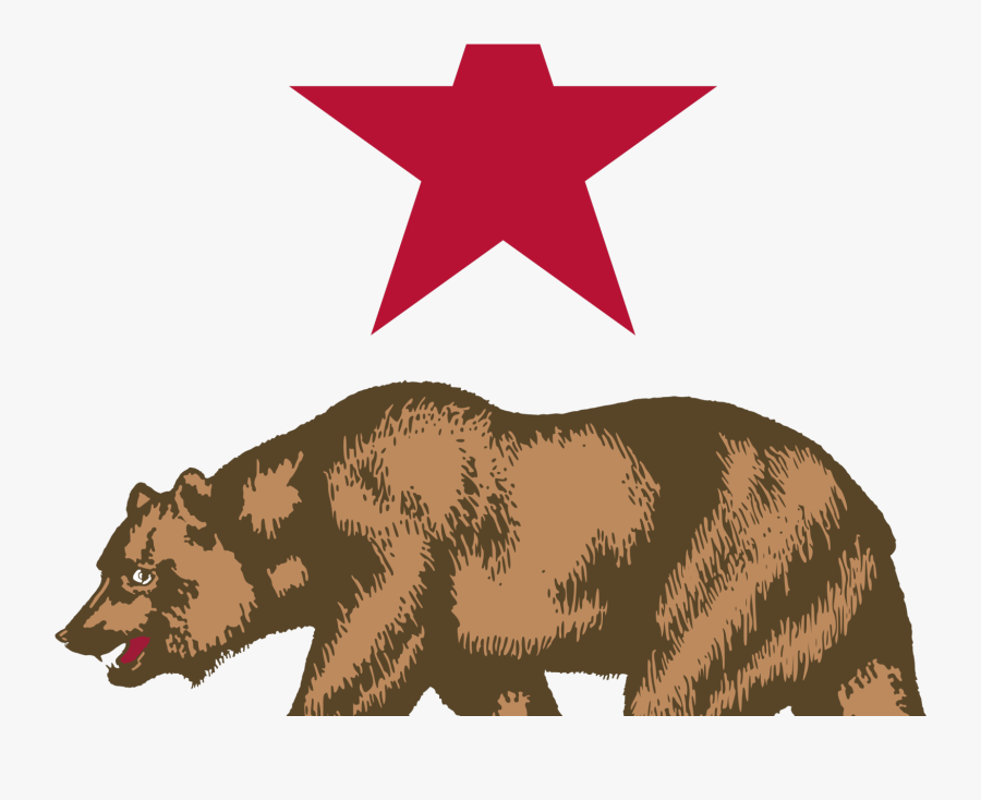 California Grizzly Bear Drawing - California Grizzly Bear Vector, Transparent Clipart