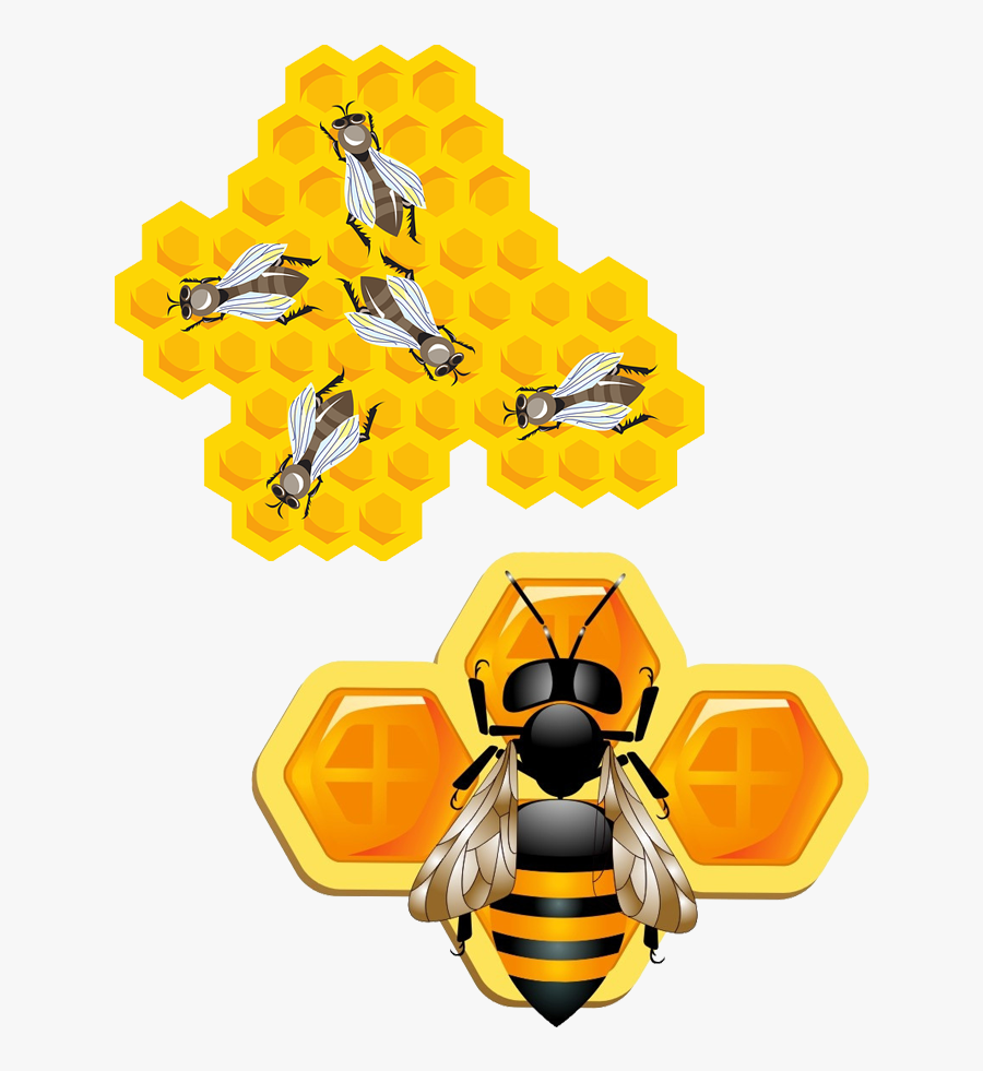 Bee Insect Honeycomb Clip Art - Astrology Visiting Card Design, Transparent Clipart