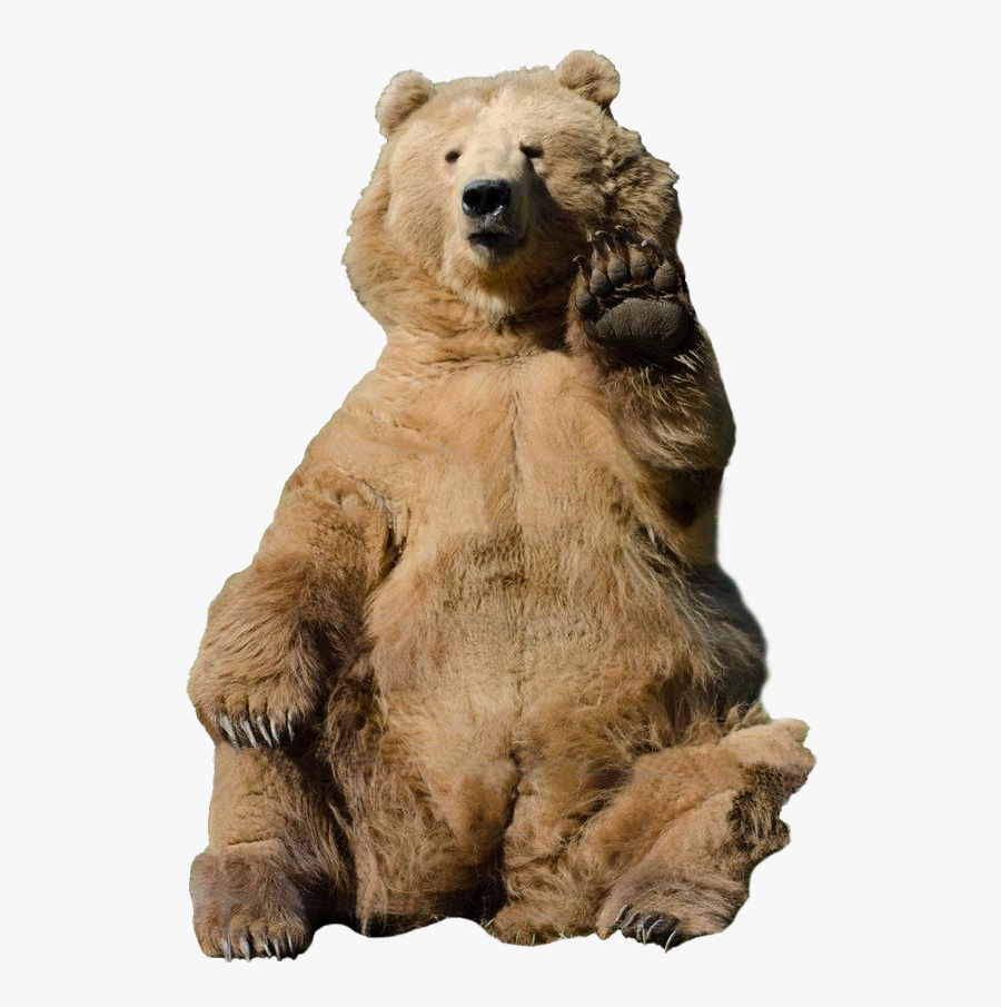 Clip Art Grizzly Bear Waving, Transparent Clipart