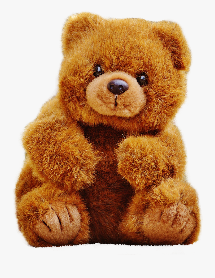 Grizzly Bear Png - Teddy Bear Png Free, Transparent Clipart