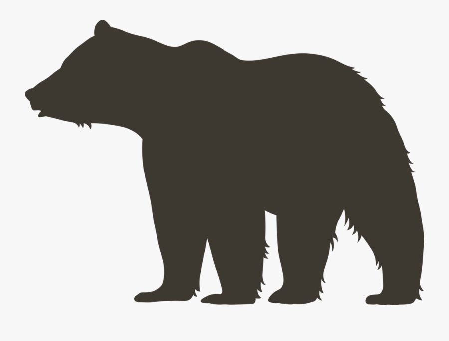 American Black Bear, Transparent Clipart