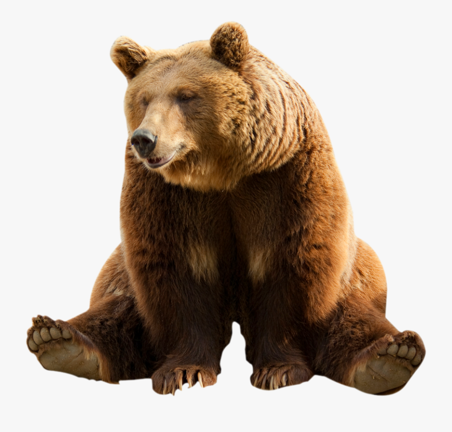 Bear Clipart Transparent Background - Bear Transparent Background, Transparent Clipart