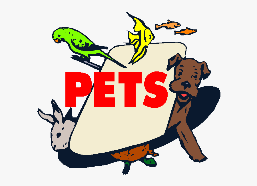 Pet Store Clipart , Png Download - Pet Store, Transparent Clipart
