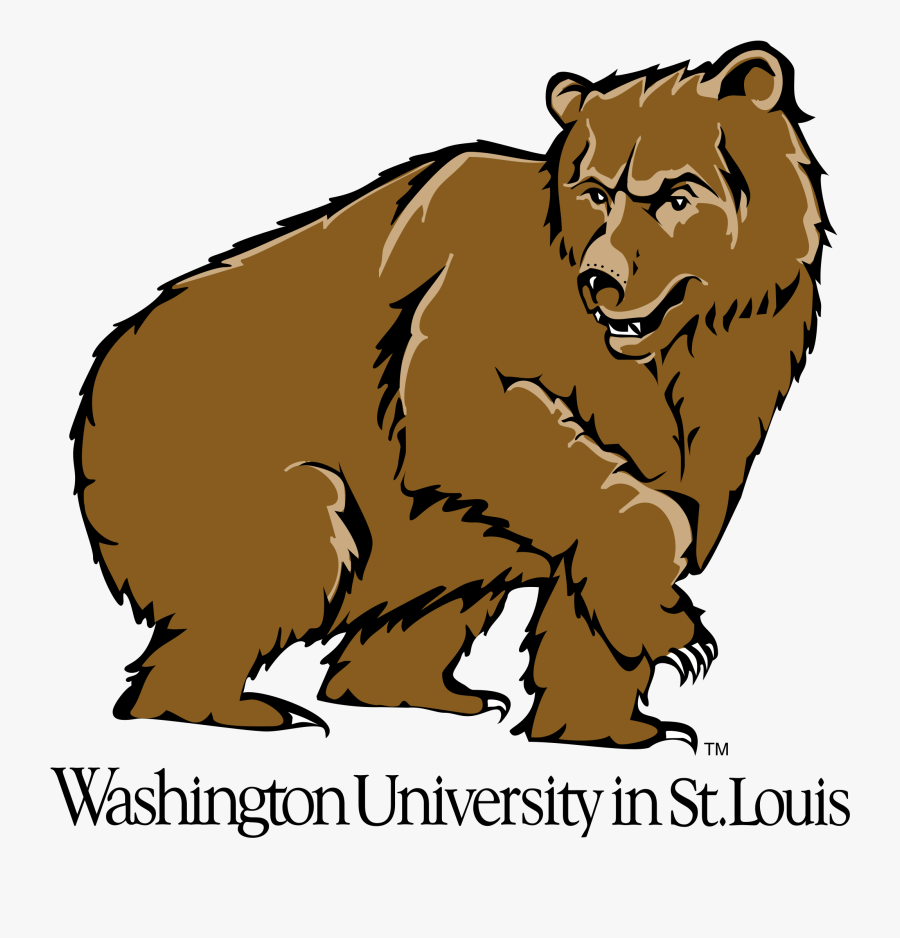 Transparent Grizzly Bear Mascot Clipart - Washington University In St Louis, Transparent Clipart