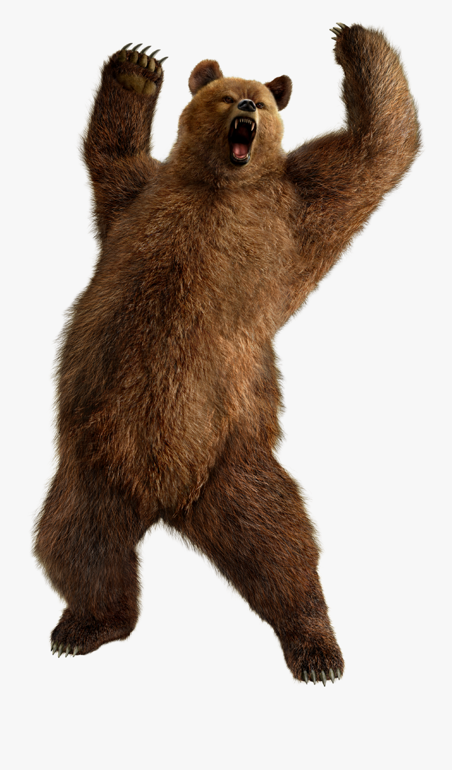 Head Clipart Grizzly - Kuma Tekken, Transparent Clipart