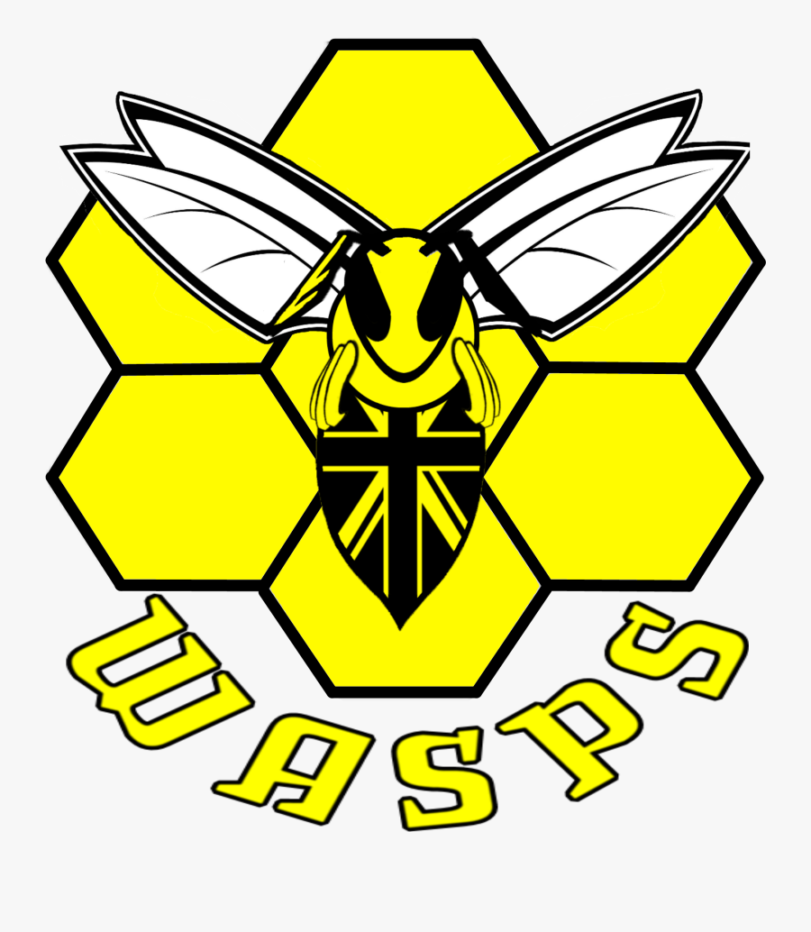 Honeycomb Clipart Wasp Nest - Portable Network Graphics, Transparent Clipart
