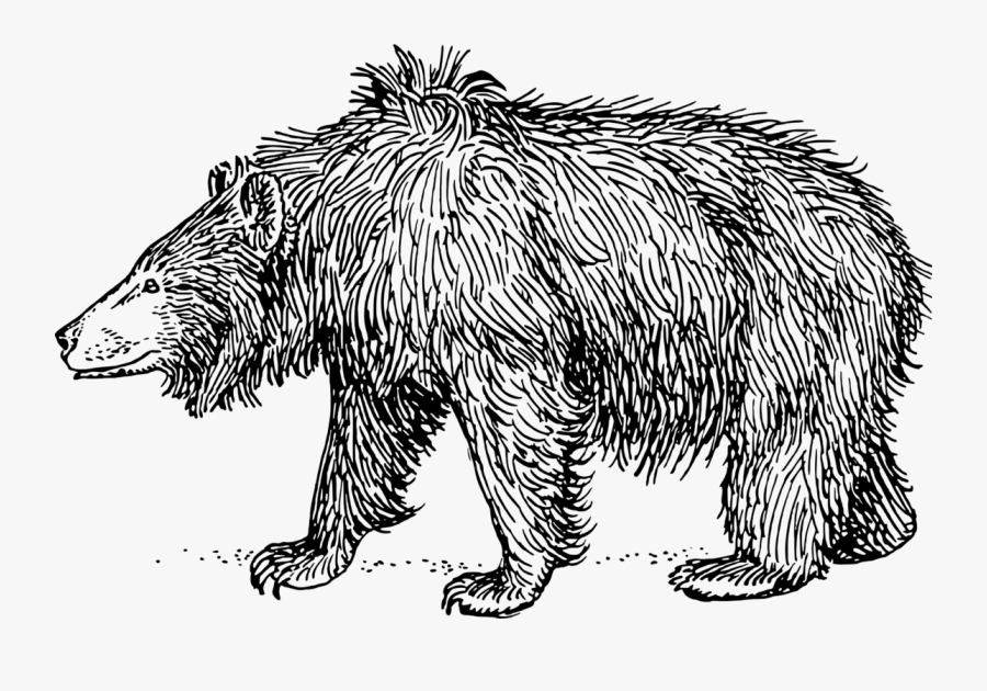 Sloth Bear - Sloth Bear Black And White, Transparent Clipart