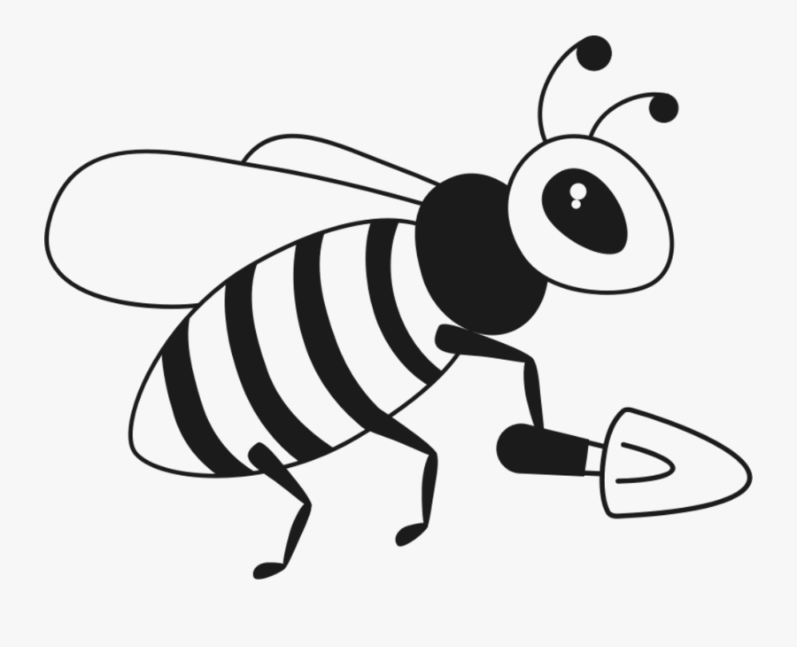Monochrome - Net-winged Insects, Transparent Clipart