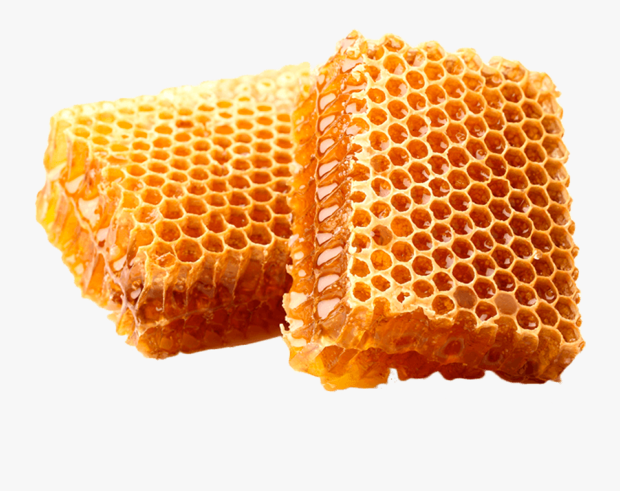 Honeycomb Stock Photography Beekeeping - Honey Bee And Wax, Transparent Clipart