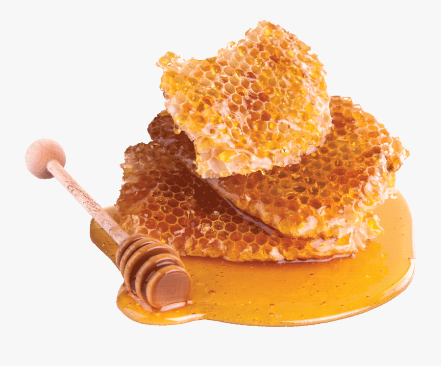 Honeycomb Honey Bee - Honey Png, Transparent Clipart