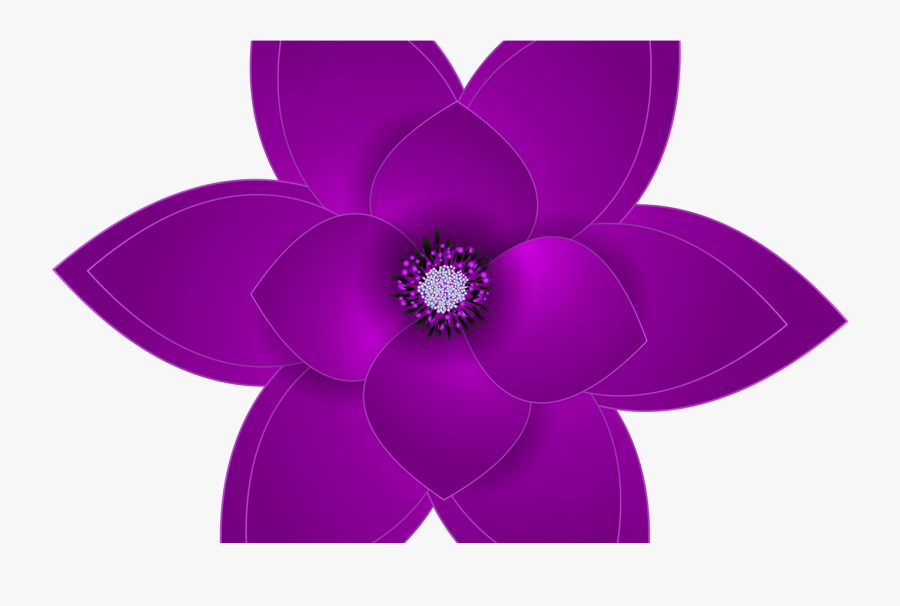 Free Hawaiian Flowers Drawings Download Free Clip Art - Cattleya, Transparent Clipart