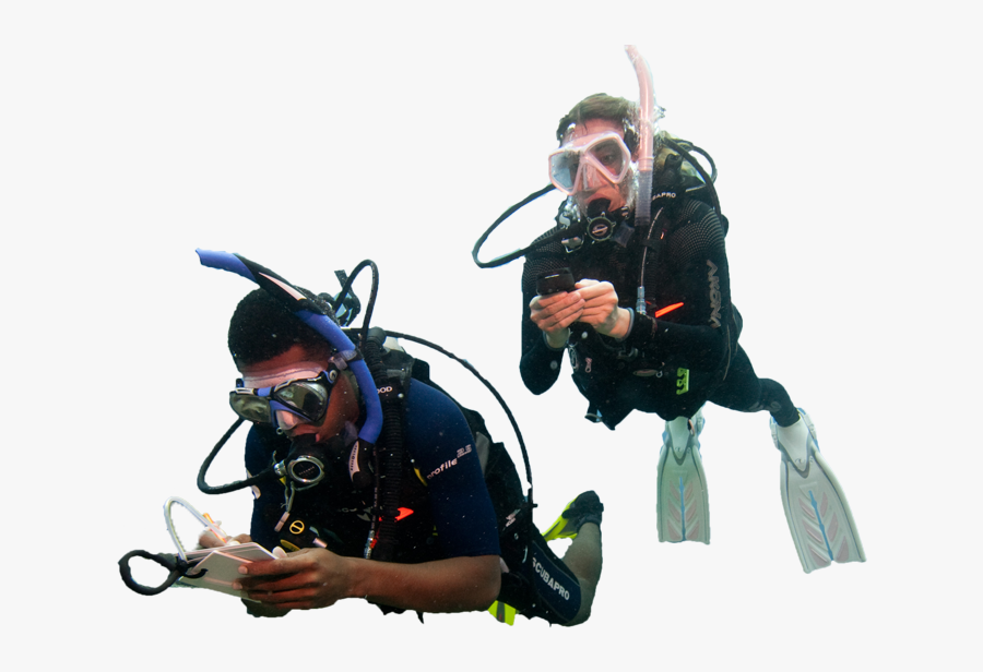 Diver Png - Water Diver Png, Transparent Clipart