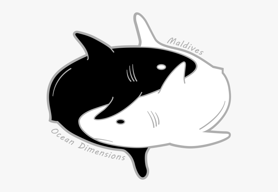 Ocean Dimensions Maldives - Great White Shark, Transparent Clipart