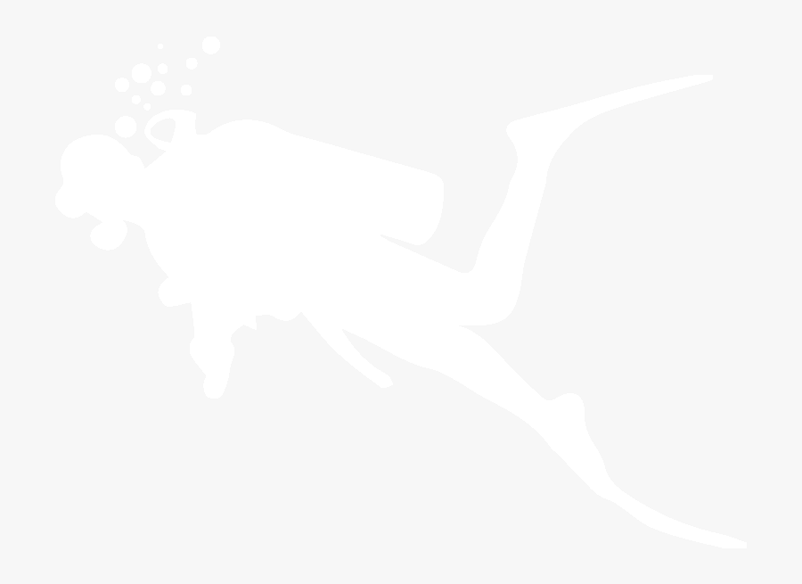 Dive Equipment Hire - Underwater Diving, Transparent Clipart