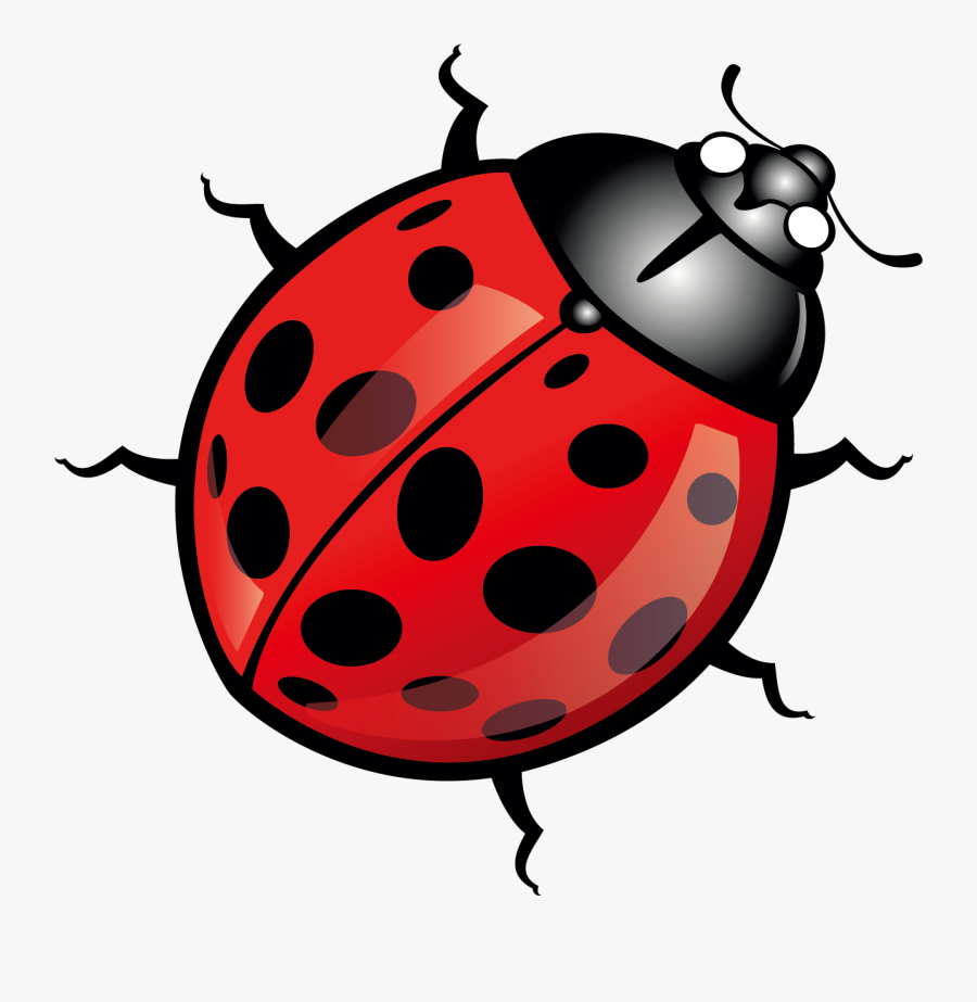 Transparent Ladybug Clipart Png - Cartoon Picture Of Bug, Transparent Clipart